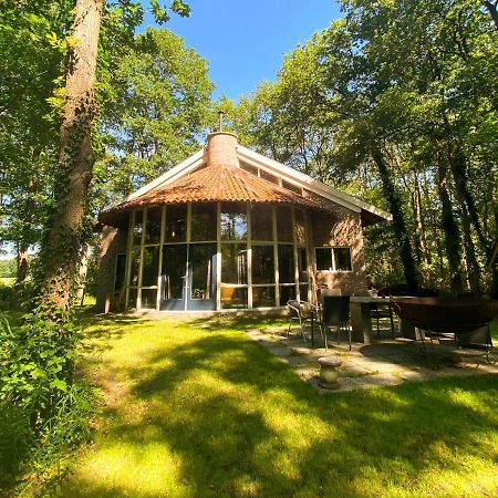 De Paddestoel Villa Wateren ภายนอก รูปภาพ