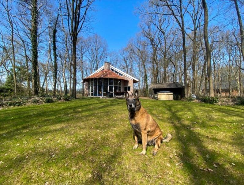 De Paddestoel Villa Wateren ภายนอก รูปภาพ